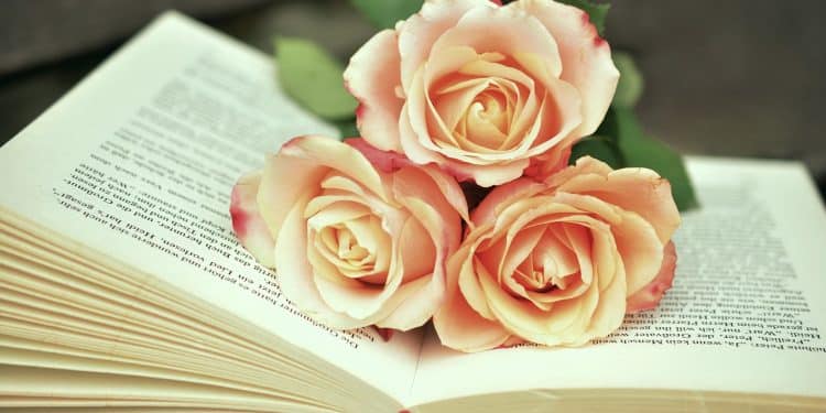 Sajam knjiga i umetnosti u Novom Sadu – mesto gde kultura živi