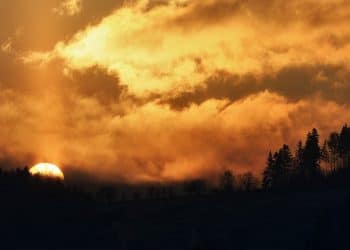 Prolećni pejzaži Kosmaja – raj za izletnike i planinare