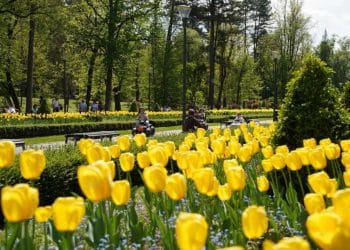 Kraljica banjskog turizma ponovo dominira: Vrnjačka Banja krcata za praznike!