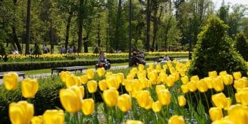 Kraljica banjskog turizma ponovo dominira: Vrnjačka Banja krcata za praznike!