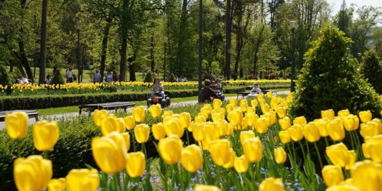 Kraljica banjskog turizma ponovo dominira: Vrnjačka Banja krcata za praznike!