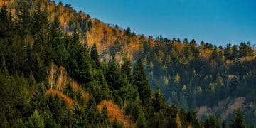 Crnokosa – Tamo gde putevi ćute a priroda govori