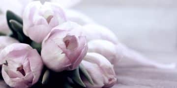 Miris proleća stiže u Kikindu – Sajam cveća sutra na glavnom trgu