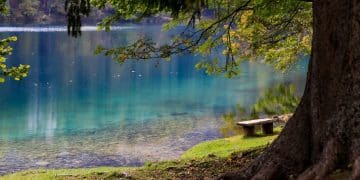 Tamo gde planina ljubi vodu: Barje u podnožju Kukavice