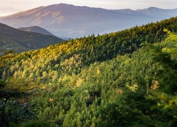 Crnokosa – Tamo gde putevi ćute a priroda govori