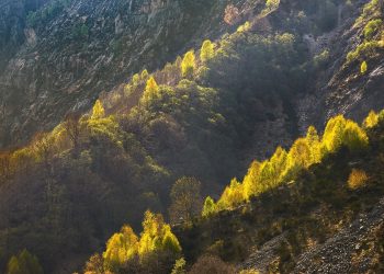 Crnokosa – Tamo gde putevi ćute a priroda govori