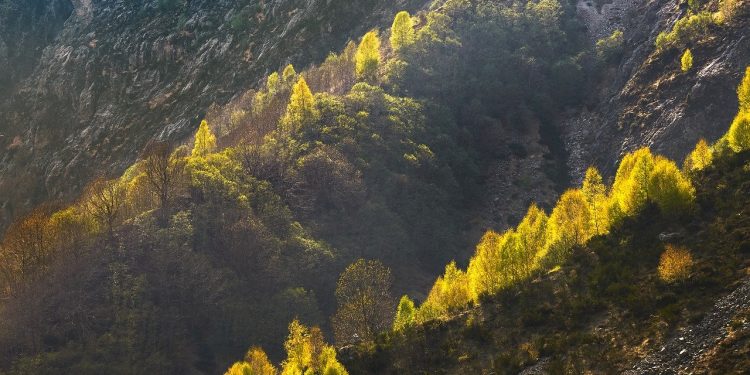 Crnokosa – Tamo gde putevi ćute a priroda govori