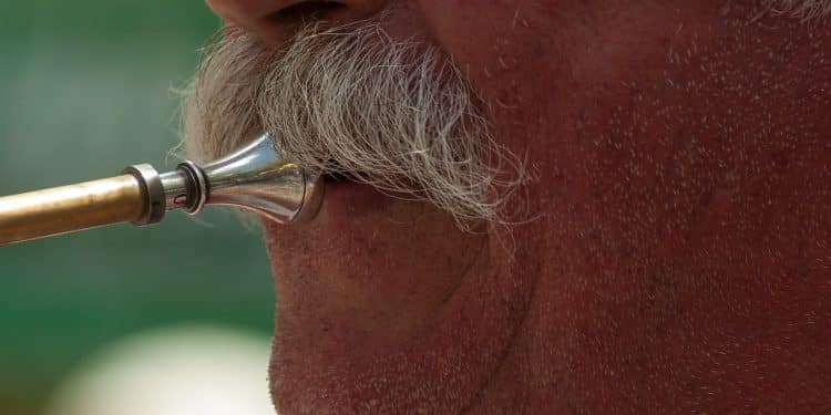 Zrenjanin sutra u znaku brka – autorsko vođenje kroz neobičnu izložbu