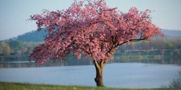 Gde pobeći za vikend: najlepše prolećne destinacije Srbije