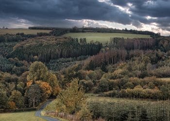 Crnokosa – Tamo gde putevi ćute a priroda govori