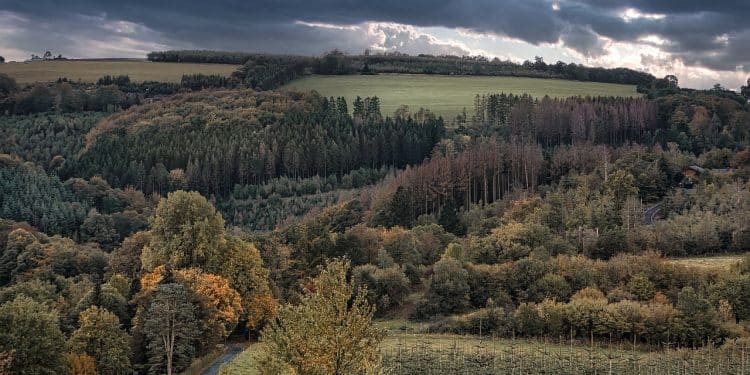 Crnokosa – Tamo gde putevi ćute a priroda govori