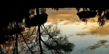 Festival zmajevih čamaca 2025 – Ada Ciganlija plovi pod zmajevskim bojama 24. i 25. maja