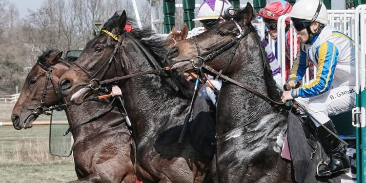 Treći trkački dan na Beogradskom hipodromu – spektakl galopa 15. juna