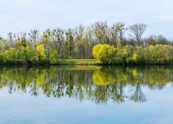 Donji Milanovac 29. juna u znaku Dunava