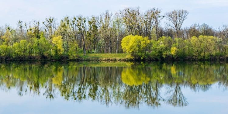 Donji Milanovac 29. juna u znaku Dunava