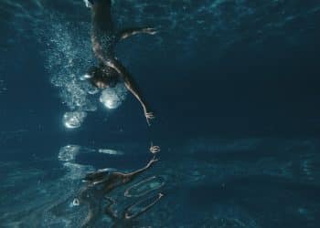 Barje kod Leskovca: mir, tišina i prirodna lepota