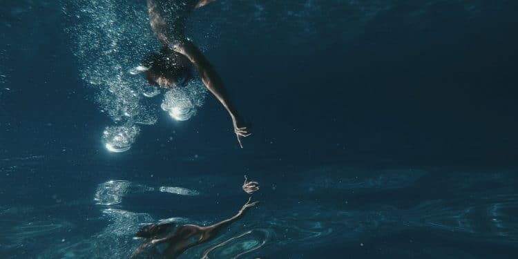 Barje kod Leskovca: mir, tišina i prirodna lepota