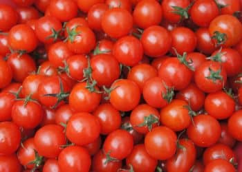 Ukusi juga na Paradajz festu u Lebanu