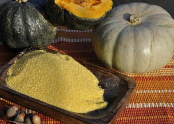 Gastronomski praznik u Medveđici – Dani proje i sira 16.avgusta