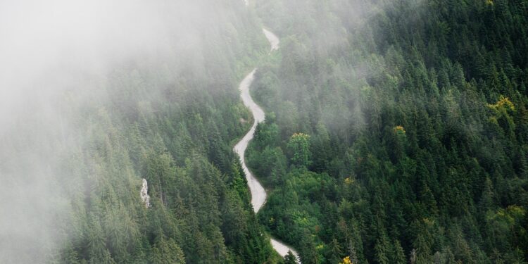 Zašto je Crkvena planina idealna za izlet u prirodu