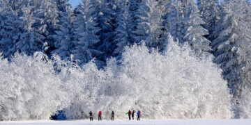 Gde putovati ove zime: vodič kroz Srbiju